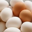 물푸레단비한의원 이미지