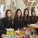 자연이미지 Daum카페