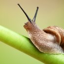 이시우농장 이미지