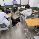 시크릿국어학원