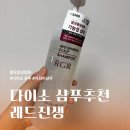 레드진생 | 다이소 레드진생 스칼프 샴푸 내돈내산 사용후기와 성분