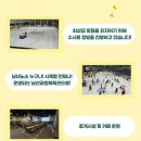 남선공원종합체육관 빙상장 이미지