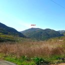 철성농장 | 용당산 -시루봉 - 비룡산 연계산행후기 ( 경북 청도 )