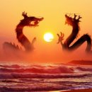 흑룡한의원 이미지