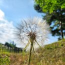 추풍령(서울) 이미지