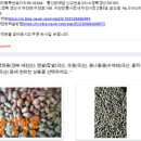 자인상회 이미지
