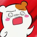 내가방 이미지