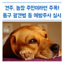 다사랑종합동물병원 | 대구 동구 개(광견병), 돼지, 꿀벌, 젖소, 닭 등 예방주사 놓으세요! / 춘계1차 가축예방주사 실시