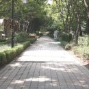 분당탑공인중개사사무소 이미지