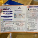 호랑약국 | 대마도배편 히타카츠 당일치기 전동자전거여행 다녀왔어요