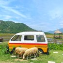 아남농장 | [나트랑 여행] 나트랑사막 판랑투어 스냅사진 리무진버스 산티아고 판랑투어 후기