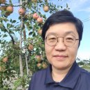 낭만개구리공인중개사사무소 | 고성 운봉산 드라이브 뷰 생명수 에너지 자연 주파수 세포 사람 여행 마음 병원 속초 부동산 공인중개사