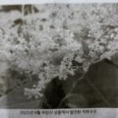 약초당한약국 이미지