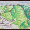 개인화물1861