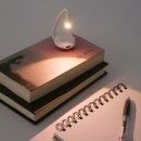 주식회사광원 | 잠들기 전 아이 재우고 나만 조용히 책 읽고 싶을 때, 아이리버 LED 클립 독서등 추천 이유