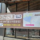 유자네 댕댕이 이미지