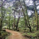 가산수피아 이미지