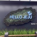 해변산책 민박 | 제주도 당일치기 애월 여행코스-한담해변·카페봄날·곽지해수욕장 하루 힐링 코스 추천✈🛫