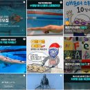 애프터스윔 연말행사 다녀온 후기.