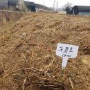 푸루메농장 이미지