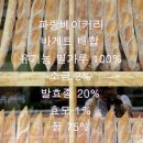 뺑라팡 이미지