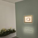 행복한 꽃그림(천아트) | 스틸, 타샤튜더. 행복의 아이콘, 타샤튜더의 삶