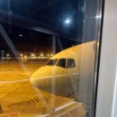 바로셀로나 | 티웨이 비즈니스 바로셀로나 출발 B777-300ER 탑승 후기 기내식과 어메니티