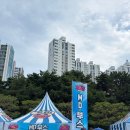 제20회 청년예술공감 <Floris· 모란 피어나다> | 2026 싸이 흠뻑쇼 부산 스탠딩 라 첫공 후기