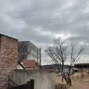 밀밭과자점 이미지