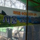 고산생고기 이미지