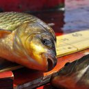 조은하루 이미지