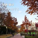 구덕운동장 체육공원 | 부산 구덕운동장 체육공원 개방시간 산책코스