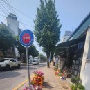 검찰청입구 사거리 이미지
