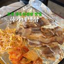 하가네냉삼 이미지