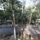 태학산자연휴양림오토캠핑장 이미지