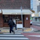 앙쥬베이커리 | 대구북구빵집 고성동 베이커리 카페 앙쥬베이커리