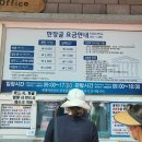 함덕흑돼지조약돌구이초원 이미지