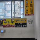 봉자속눈썹 이미지