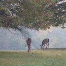 평화로운세상 이미지