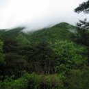 초록세상 - 양산시 | 초록세상