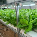 율동생태학습원 이미지