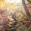 백운산자연휴양림 이미지