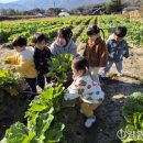 애니와투니어린이집 이미지