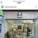 포항 양덕꽃집 추천 : 부모님 생신 꽃바구니 구입 후기 &#34;녹심&#34;