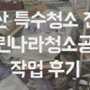 금오청소나라