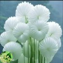 행복한의료기 이미지