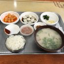 정화돼지국밥 네이버블로그
