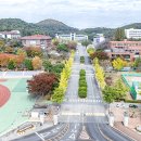 동국대학교 이미지