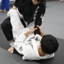 금오헬스 | 의정부주짓수 컨트롤짐 금오 주짓수 운동후기