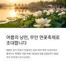무안 연꽃축제 일정, 회산백련지 주차장, 무안 숙소 정보